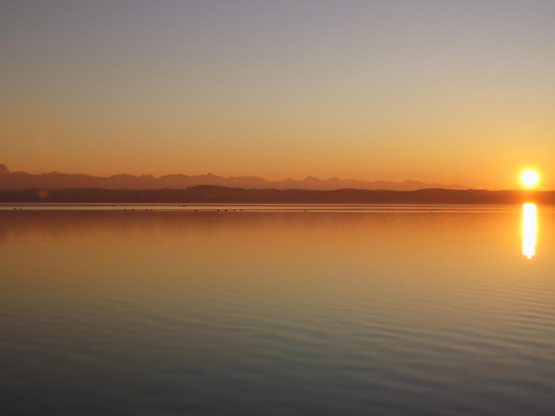 Sonnenaufgang über einem ruhigen See (Chiemsee) mit orangefarbenem Horizont und dunkler Alpenkulisse.